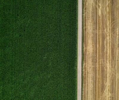Congresso Brasileiro do Agronegócio dia 5 de agosto no Sheraton WTC São Paulo Hotel